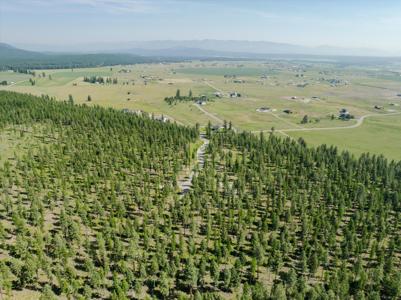 526 Northern Larch Trail