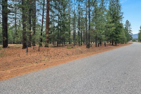 Nhn Swamp Creek Road