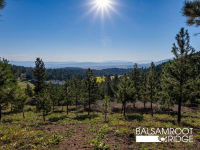 12 Trail Ridge Road