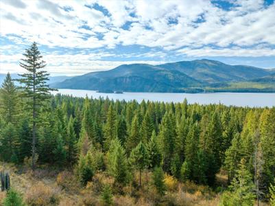 Tract 2 McKay Minor Road