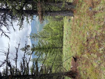 1444 Haskill Ranch Road