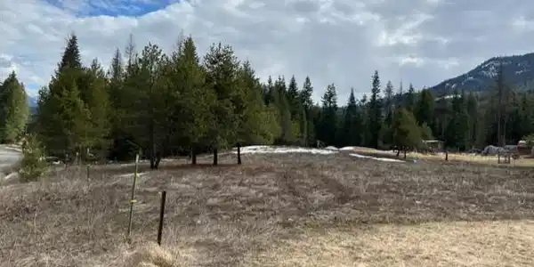 TBD Forest Drive