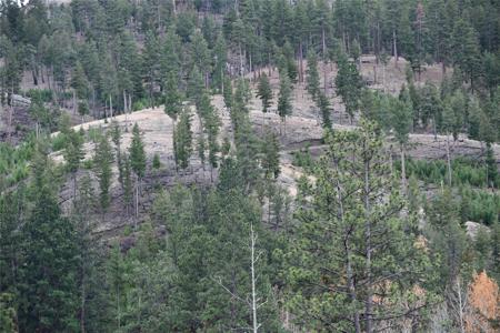 Nhn Medicine Springs Road