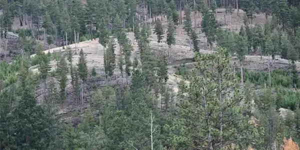 Nhn Medicine Springs Road