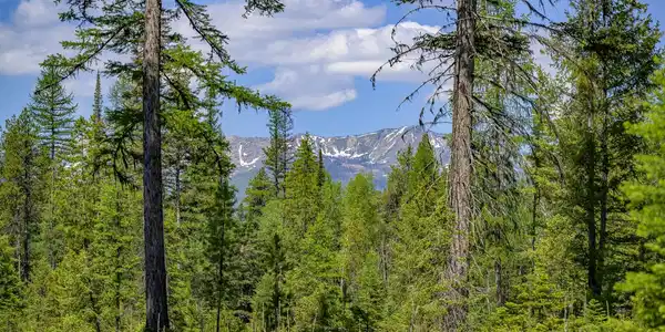 NHN Lindbergh Lake Road