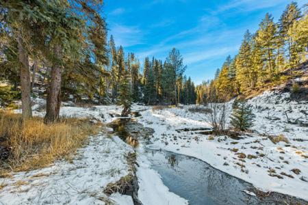 Nhn N Dayton Creek Road