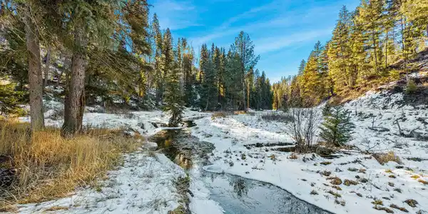 Nhn N Dayton Creek Road