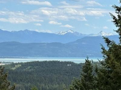 101 Overlook Ridge