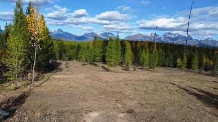NHN Tepee Lake Camp