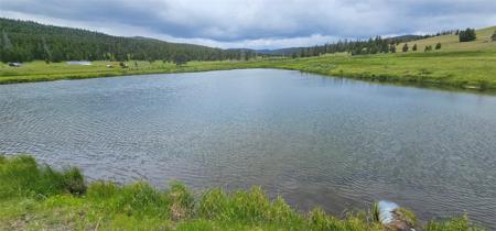 10085 Snowshoe Deadwood Road