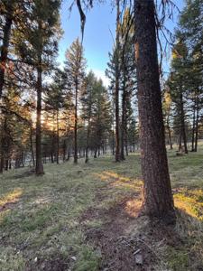 139 Montana View Drive