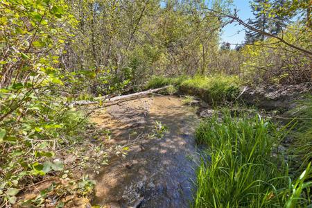 000 McClain Creek Meadows