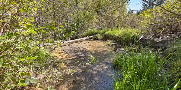 000 McClain Creek Meadows