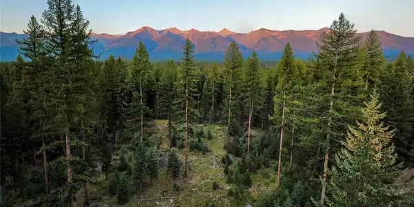 NHN Scenic Drive