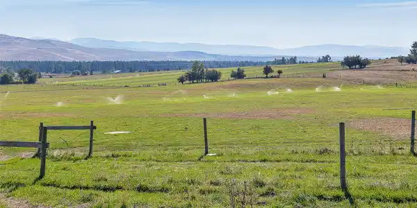 000 Homestead Pastures