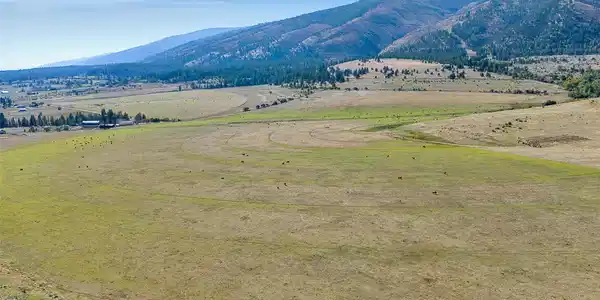 000 King Pastures