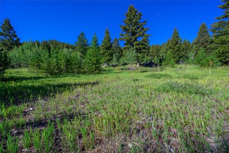 Tract A1 Hills Brothers Road