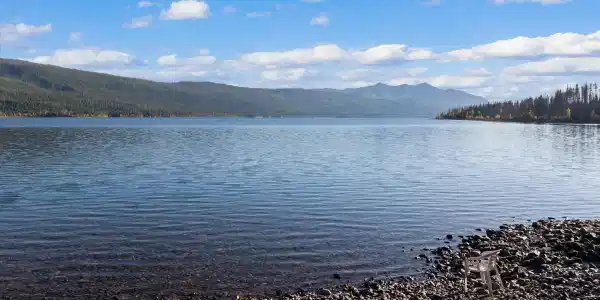 NHN Lake McDonald Road N