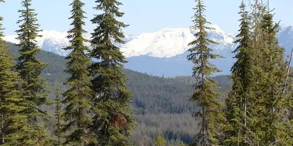 NHN North Beaver Creek