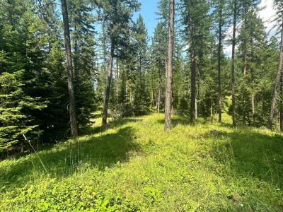 Lot 2 The Crossings at Bachelor Grade