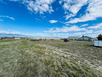 11 Sagebrush