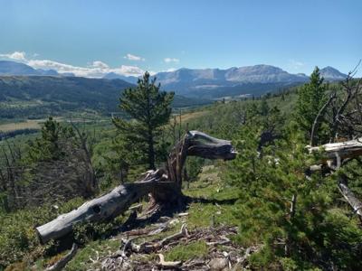 NHN HWY 89