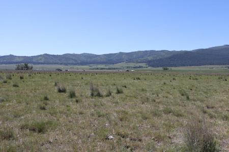 NHN Prairie Lane