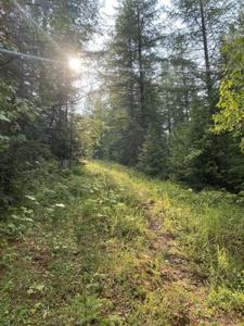 180 N Bernard Creek Road