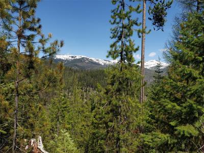 Tract 10 Ida Lode Nine Mile Road