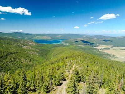 Nhn Ashley Lake Road
