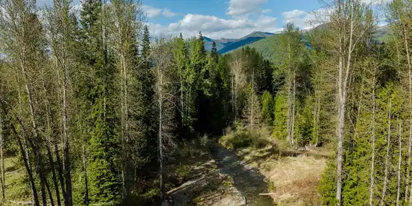 TBD Troy Mine Road