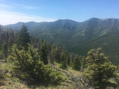 56 Wolf Creek Road