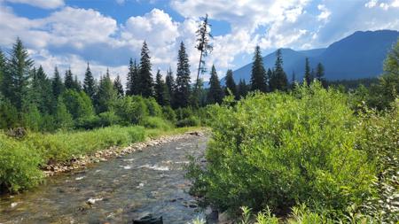 177 Double Creek Lane