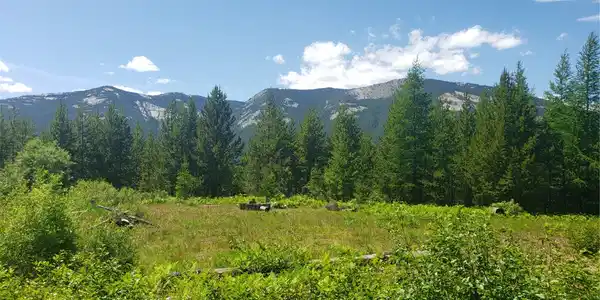 14463 Libby Creek Road