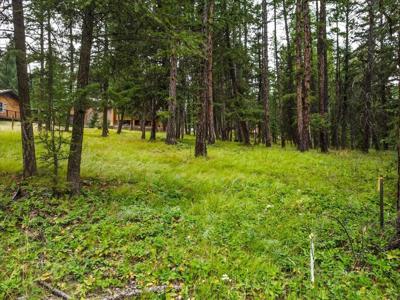 Lot 46 Forest Loop
