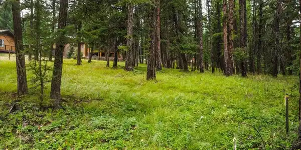 Lot 46 Forest Loop