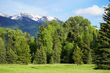 NHN Wolf Creek Ranch Road