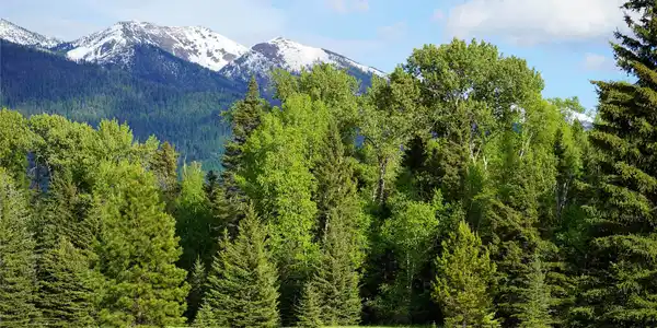 NHN Wolf Creek Ranch Road