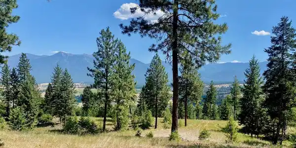nhn Hillandale Trail