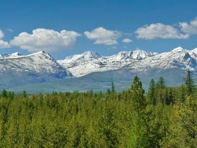 645 Glacier-Elk Road