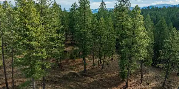 Lot 10 Lake Heights