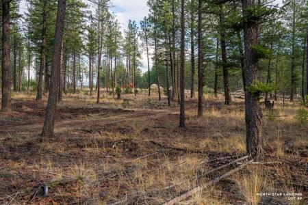 Lot 49 Basin Bend