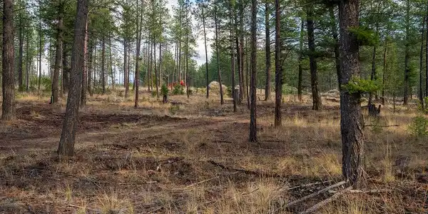 Lot 49 Basin Bend