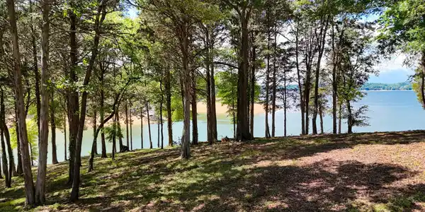 123 Ridge Point Tr
