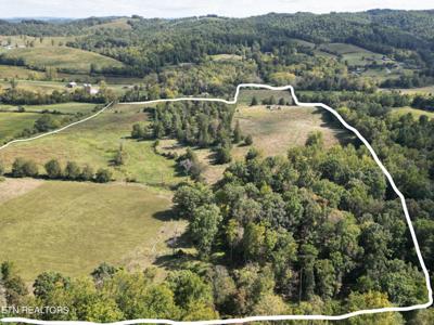 317 Singleton Hollow Rd