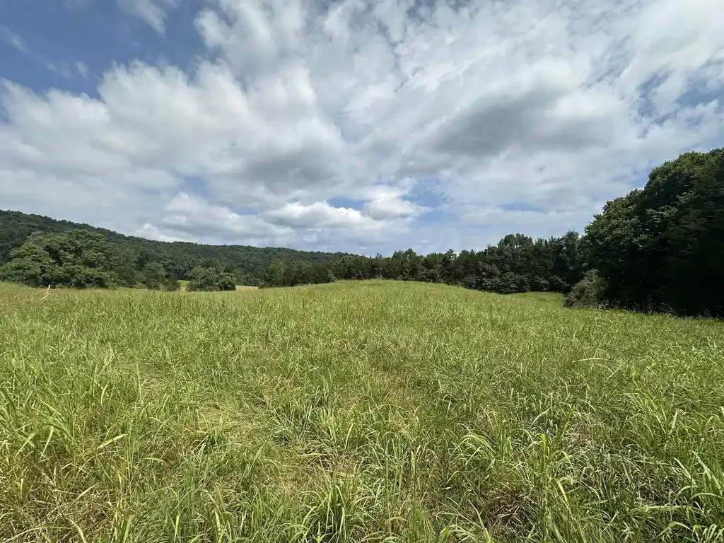 Image 1 Image 1