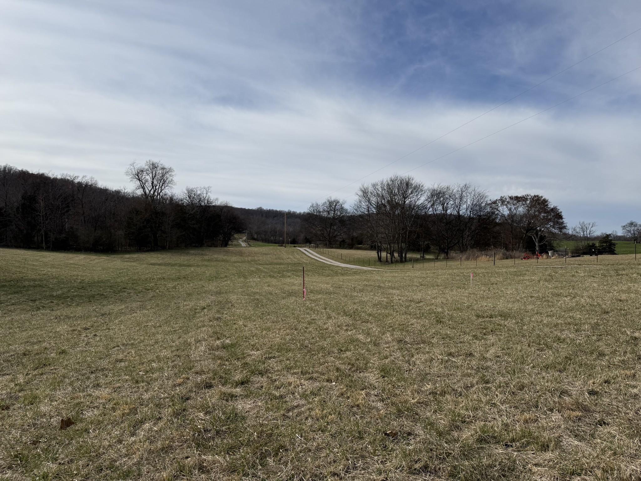 Image 4 Image 4