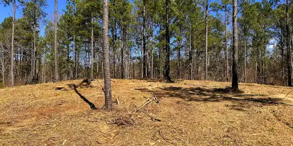 Image 4 Image 4