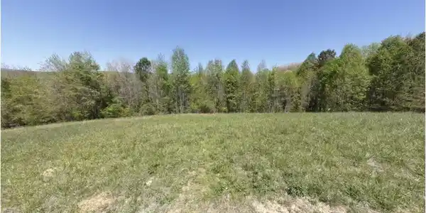 Image 4 Image 4