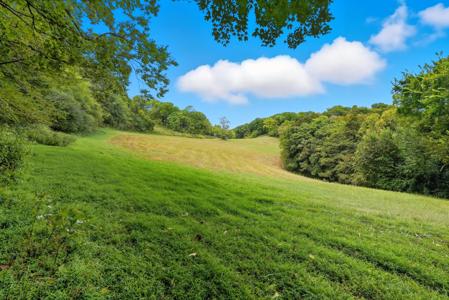 1907 Burke Hollow Rd